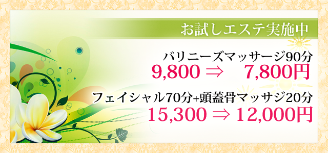 お試しメニュー