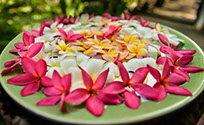 LUN LUN BALI