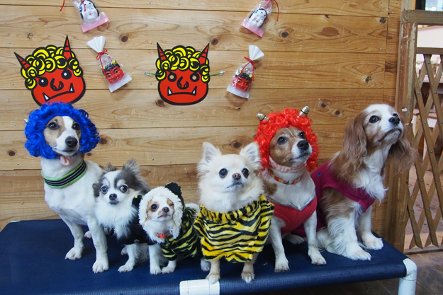 犬の寺子屋ようちえんフォトギャラリー